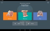 Mémofiches Anatomie Netter screenshot 5
