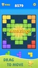 Color Block Puzzle Game screenshot 14