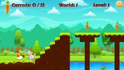 Bunny Run screenshot 5