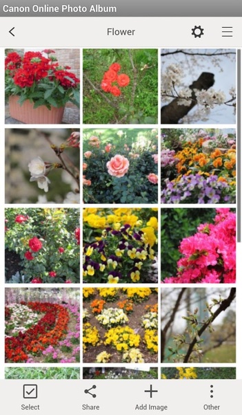 Canon Online Photo Album - Preview 1