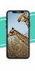 Giraffe Wallpaper screenshot 3