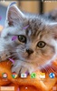 Animals Cute Live Wallpaper screenshot 4