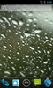 Rainy Day HD screenshot 3