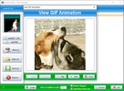 SSuite Office Gif Animator screenshot 1