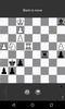 Schach Trainer screenshot 13