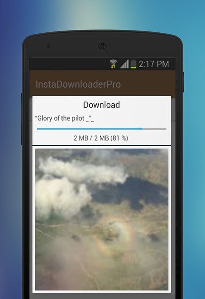 InstaDownloader - Preview 5