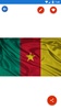 Senegal Flag Wallpaper: Flags and Country Images screenshot 7