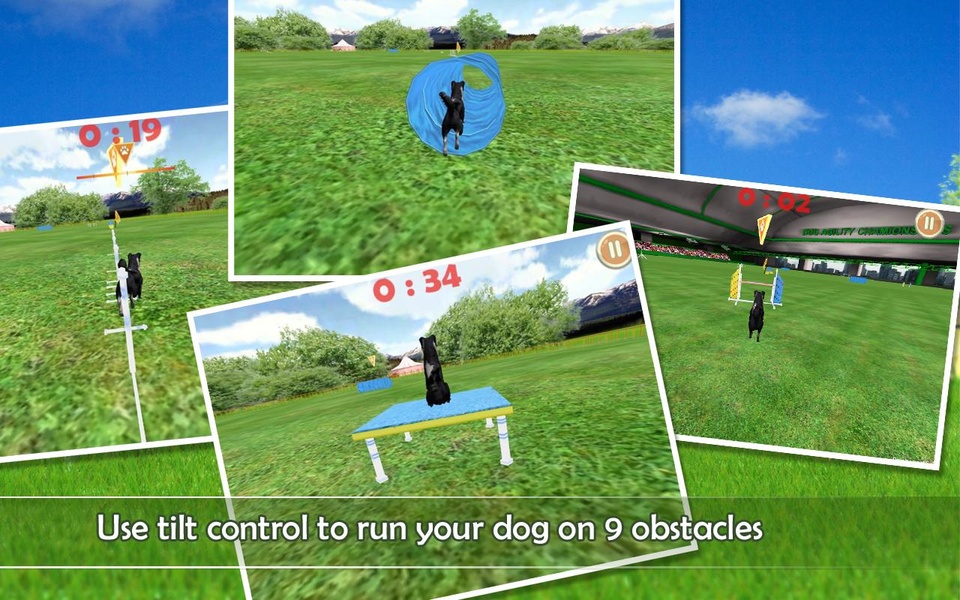 Dog Agility 3D Free - Preview 3