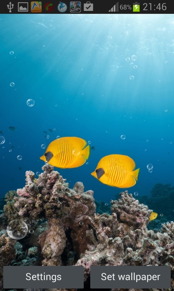 Coral Reef Live Wallpaper - Preview 4