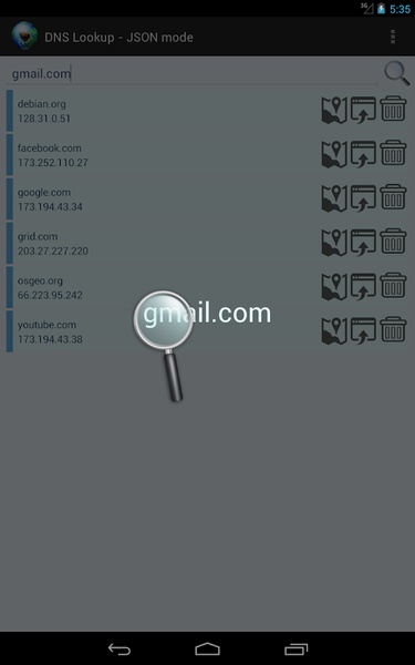 DNS Lookup and IP info - Preview 1