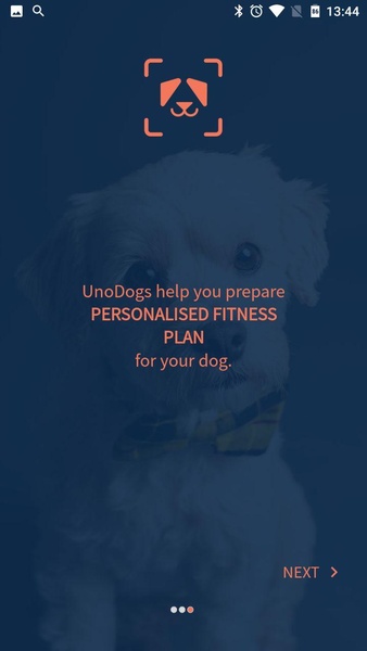 UnoDogs - Preview 10