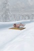 Bobsleigh screenshot 1