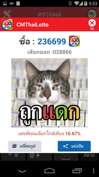 CMThai Lotto - Preview 5