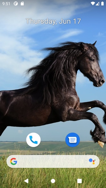 Horse Wallpaper HD - Preview 3