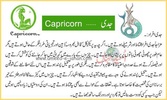 Daily Horoscope In Urdu screenshot 1