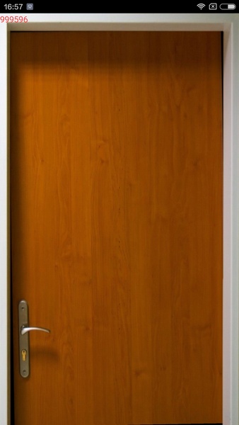 The Door - Preview 2