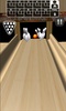 Strike-pin bowling screenshot 2