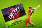 Cricket Unlimited screenshot 16