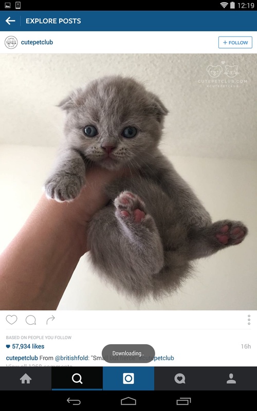 Instagram Plus 8 2 0 Para Android Descargar