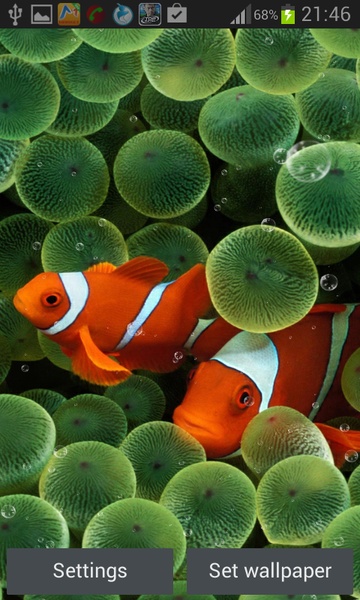Coral Reef Live Wallpaper - Preview 8