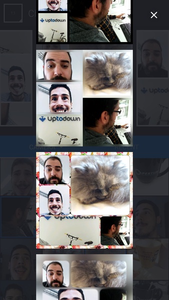 Photo Collada - Preview 6