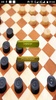 Checkers screenshot 5