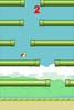 Rolly Bird screenshot 11