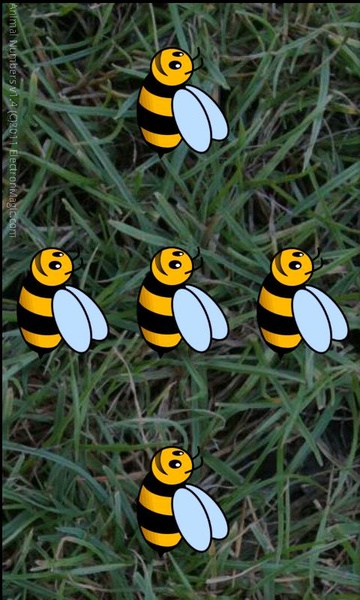 Animal Numbers - Preview 3