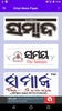 Odia News paper - ePapers screenshot 16