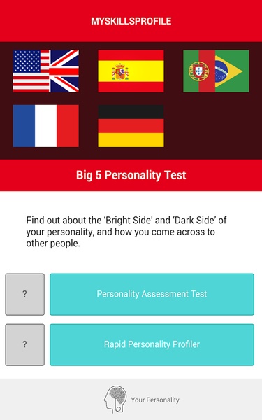 Big 5 Personality Test - Preview 6