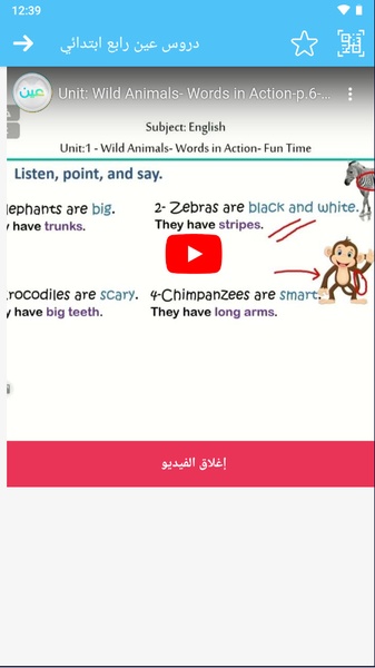 Curriculum Solutions - Preview 11