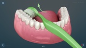 Dental 3D Illustrations screenshot 2