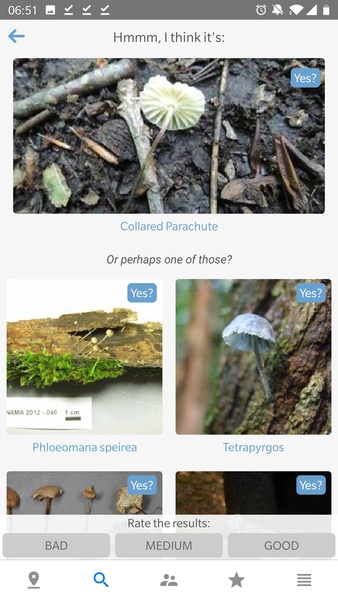 Mushroom Identificator - Preview 4