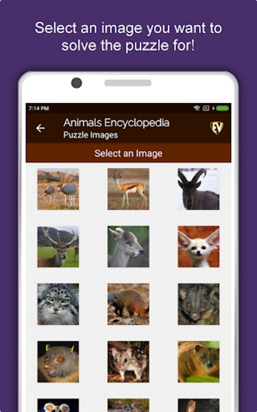 Animals Encyclopedia - Preview 2