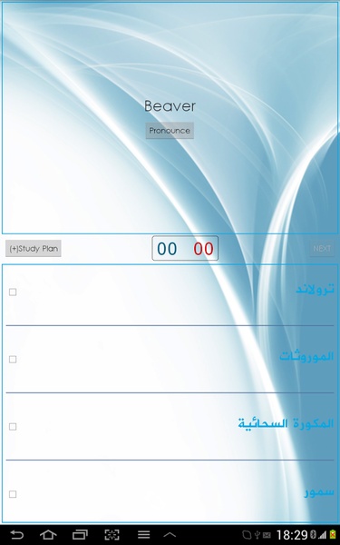 Arabic Dictionary - Preview 12