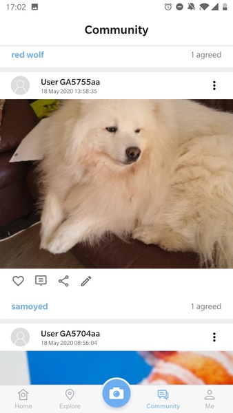 Picture Animal - Animal ID Pro - Preview 5