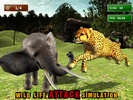 African Cheetah Wildlife screenshot 4
