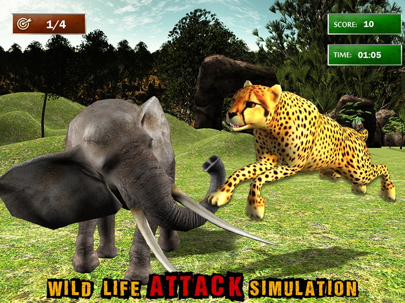 African Cheetah Wildlife - Preview 4
