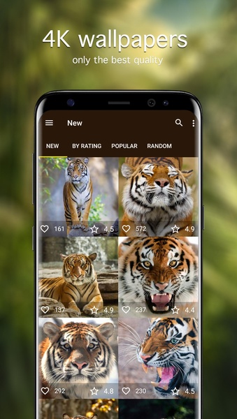 Tiger Wallpapers - Preview 1