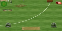 Real Cricket Test Match Edition screenshot 5