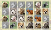 Dogs Memory Free screenshot 3