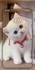 Cute Cat Wallpaper Live HD 4K screenshot 5