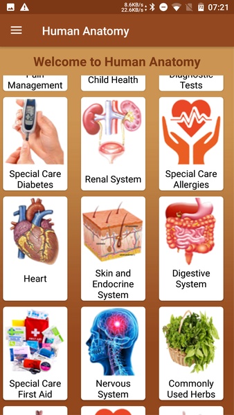 Human Anatomy - Preview 7
