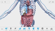 V. Anatomy screenshot 6