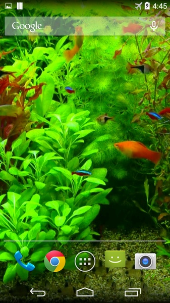 Real Aquarium 3D Wallpaper - Preview 3