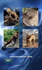 Animals Jigsaw Puzzle screenshot 7