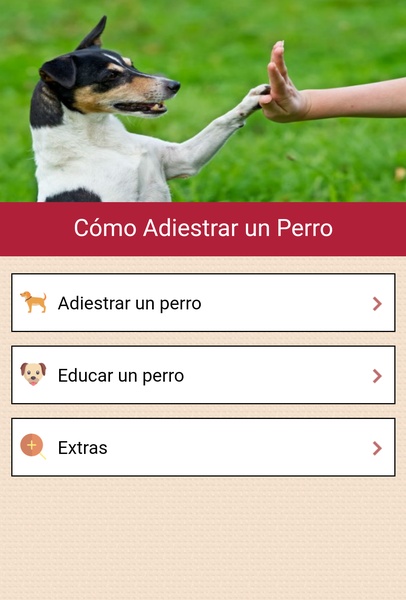 Como adiestrar un perro - Preview 1