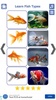 Fish Types screenshot 4