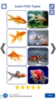 Fish Types screenshot 8