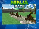 Ninja Race screenshot 3